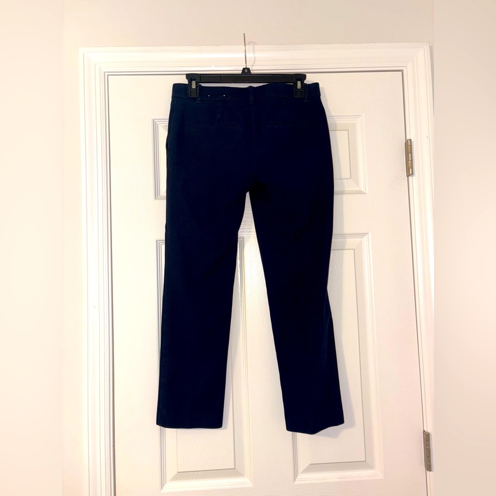 Ann Taylor Blue Cropped Pants